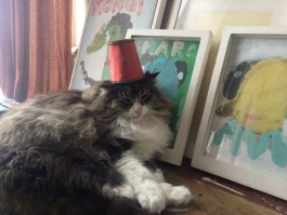 Offene Ateliers Brandenburg 2025