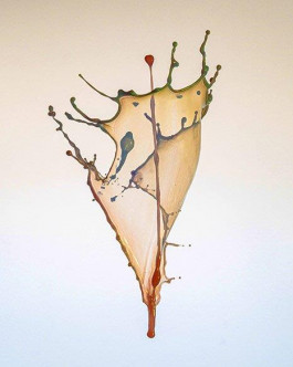 Offene Ateliers Brandenburg 2025