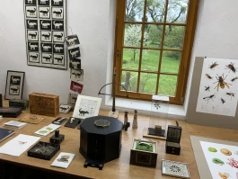 Offene Ateliers Brandenburg 2025