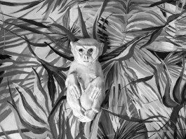 Offene Ateliers Brandenburg 2025