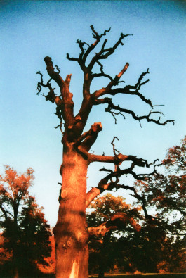 Offene Ateliers Brandenburg 2025