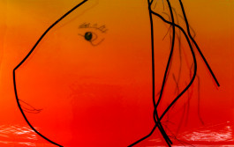 Offene Ateliers Brandenburg 2025