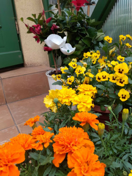 Offene Ateliers Brandenburg 2025