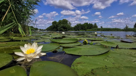 Offene Ateliers Brandenburg 2025