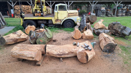 Offene Ateliers Brandenburg 2025