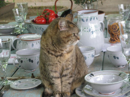 Offene Ateliers Brandenburg 2025