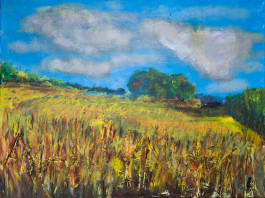 Offene Ateliers Brandenburg 2025