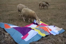 Offene Ateliers Brandenburg 2025