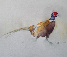 Offene Ateliers Brandenburg 2025