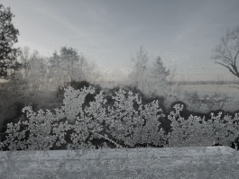 Offene Ateliers Brandenburg 2025