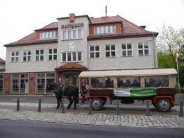 Offene Ateliers Brandenburg 2025