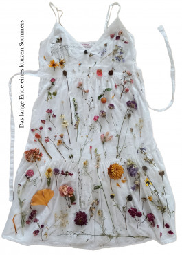 Offene Ateliers Brandenburg 2025