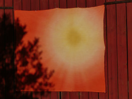 Offene Ateliers Brandenburg 2025