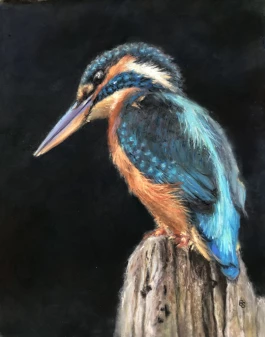 Offene Ateliers Brandenburg 2025