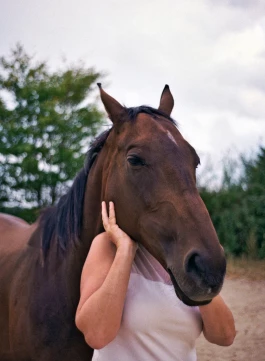 Offene Ateliers Brandenburg 2025