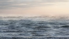 Offene Ateliers Brandenburg 2025