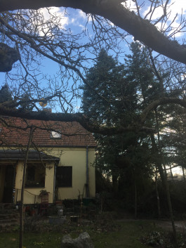 Offene Ateliers Brandenburg 2025