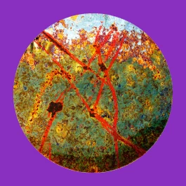 Offene Ateliers Brandenburg 2025