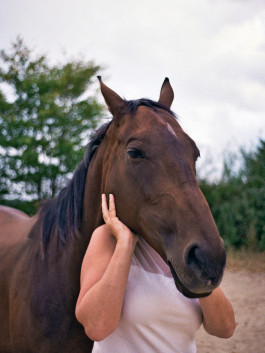 Offene Ateliers Brandenburg 2025