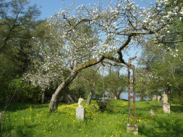 Offene Ateliers Brandenburg 2025