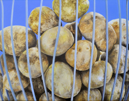 Offene Ateliers Brandenburg 2026