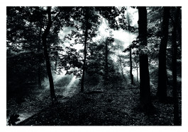 Offene Ateliers Brandenburg 2026