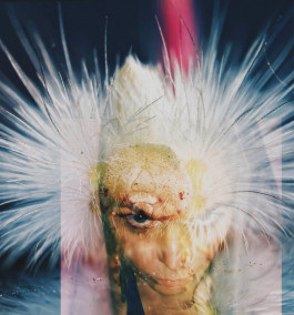 Offene Ateliers Brandenburg 2026