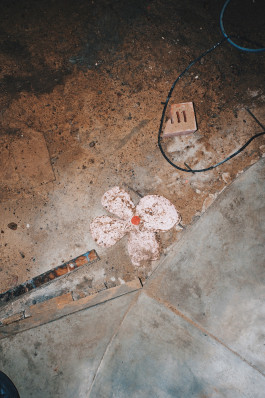 Offene Ateliers Brandenburg 2026