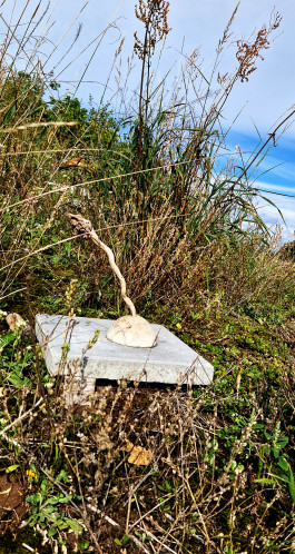 Offene Ateliers Brandenburg 2026