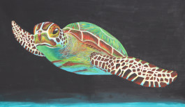 Offene Ateliers Brandenburg 2026