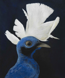 Offene Ateliers Brandenburg 2026