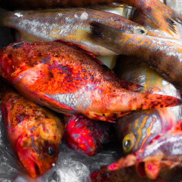 Offene Ateliers Brandenburg 2026