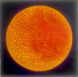 Offene Ateliers Brandenburg 2026