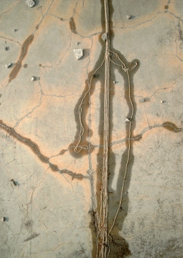 Offene Ateliers Brandenburg 2026