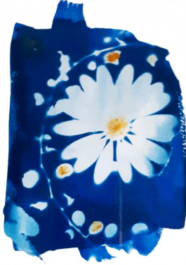 Offene Ateliers Brandenburg 2026