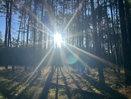 Offene Ateliers Brandenburg 2026