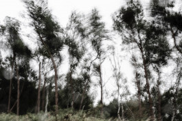 Offene Ateliers Brandenburg 2026