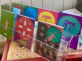 Offene Ateliers Brandenburg 2026