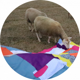 Offene Ateliers Brandenburg 2026